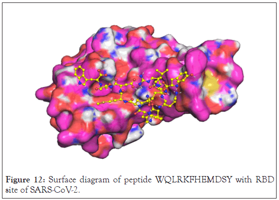 drug-designing-diagram