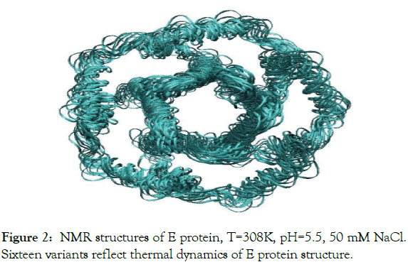 drug-designing-dynamics