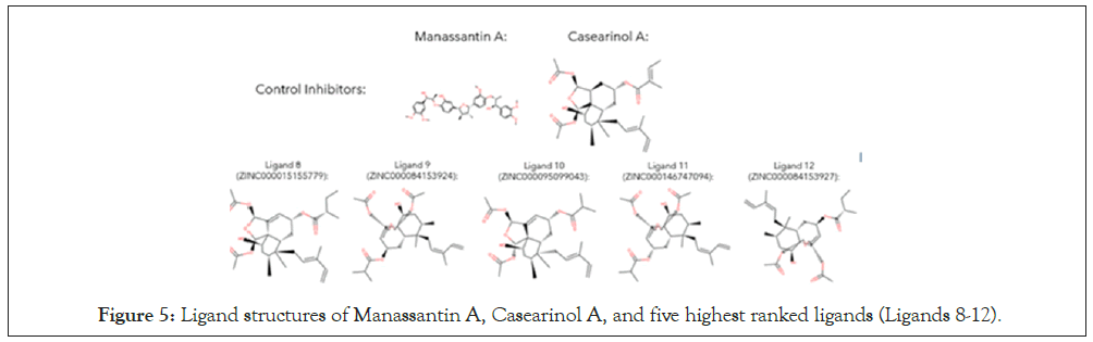 drug-designing-highest
