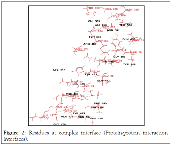 drug-designing-interface