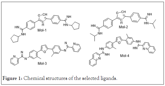 drug-designing-ligands