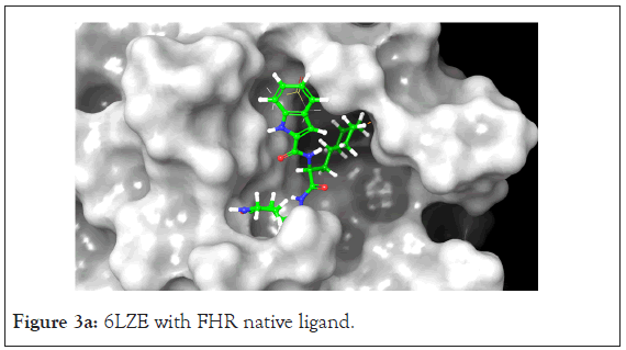 drug-designing-native