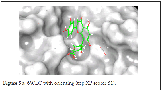 drug-designing-orienting