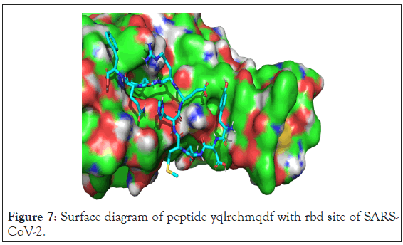 drug-designing-peptide