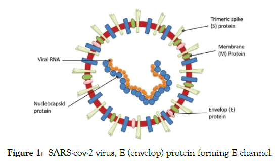 drug-designing-protein
