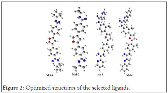 drug-designing-selected