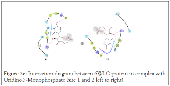 drug-designing-site