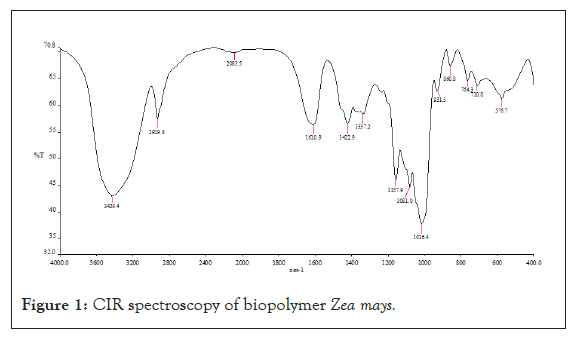 drug-metabolism-biopolymer