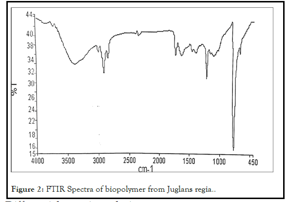 drug-metabolism-juglans