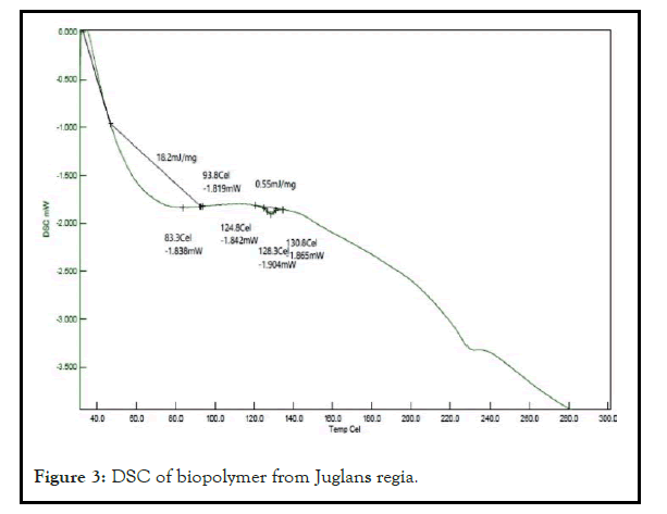 drug-metabolism-regia