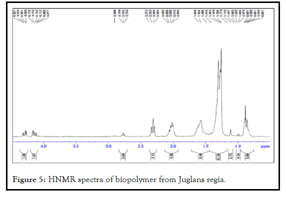 drug-metabolism-spectra