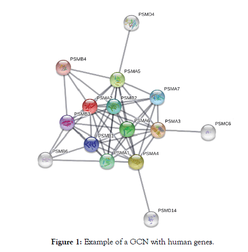 drug-metabolism-toxicology-human-genes