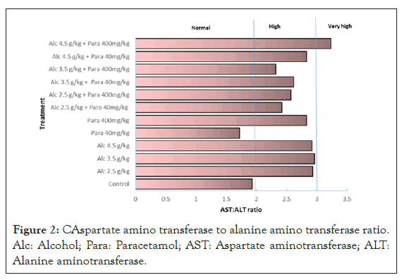 drug-metabolism-transferase