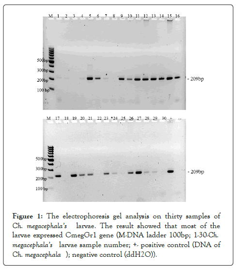 entomology-ornithology-electrophoresis