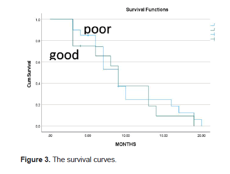 european-clinical-curves