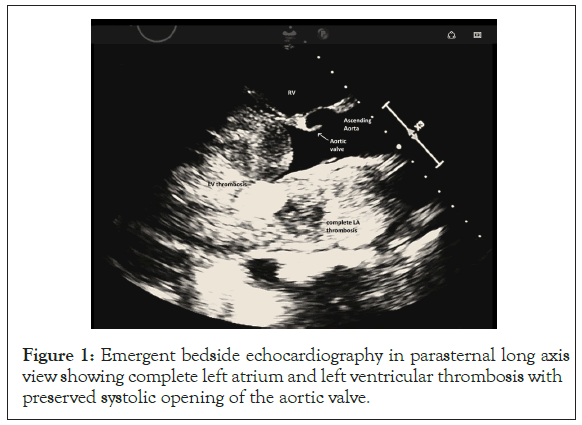 experimental-cardiology-echocardiography