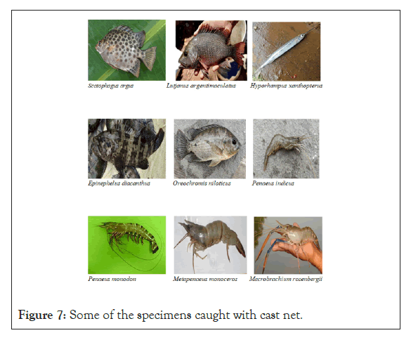 fishery-resources-caught