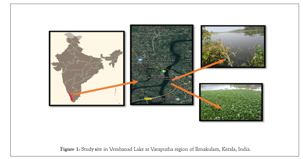 fishery-resources-region