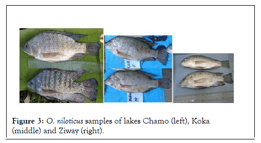 fishery-resources-samples