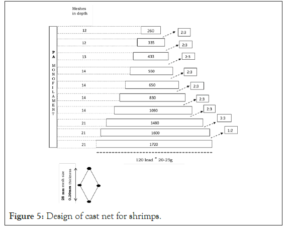 fishery-resources-shrimps