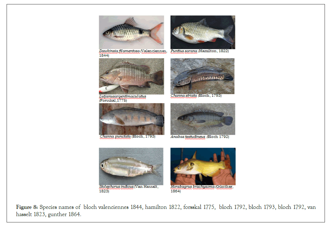 fishery-resources-valenciennes