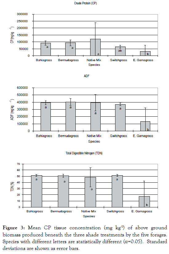 forest-research-biomass-produced