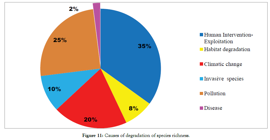 forest-research-causes-degradation