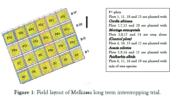 forest-research-field-layout