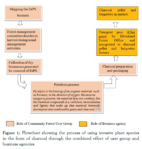 forest-research-flowchart