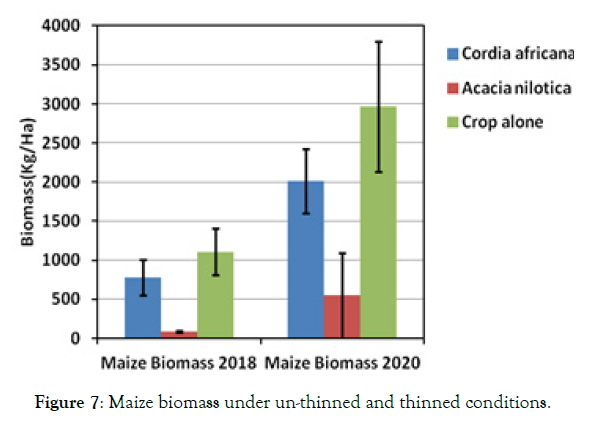 forest-research-maize-biomass