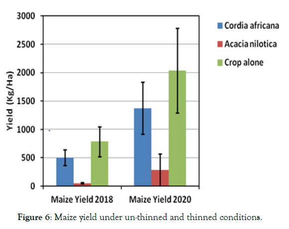 forest-research-maize-yield