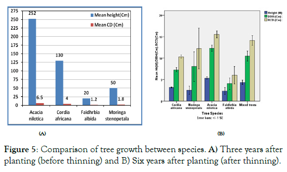 forest-research-planting