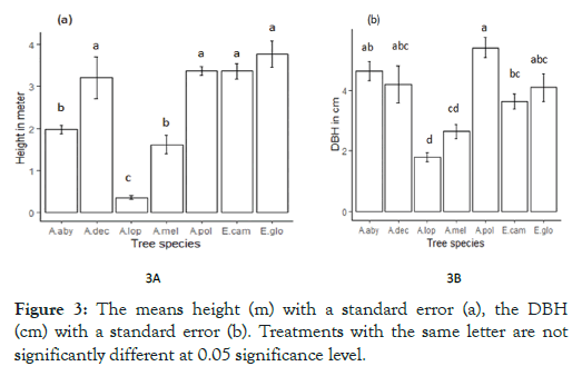 forest-research-standard-error