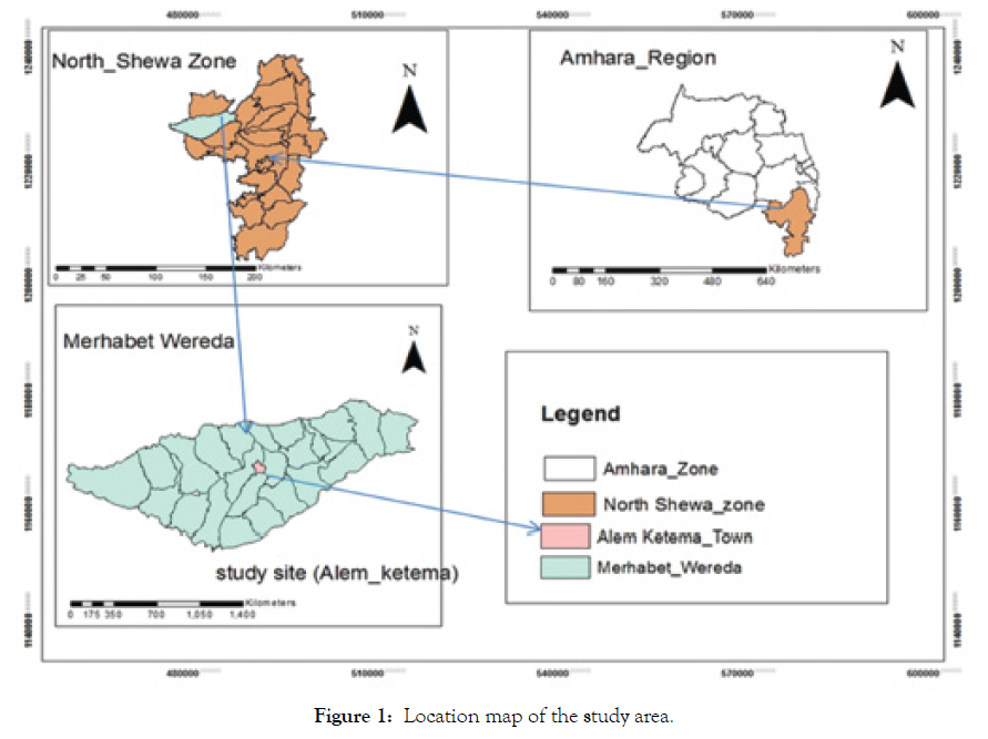 forest-research-study-area