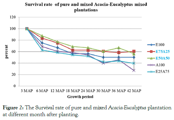 forest-research-survival-rate