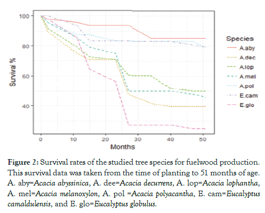 forest-research-survival-rates