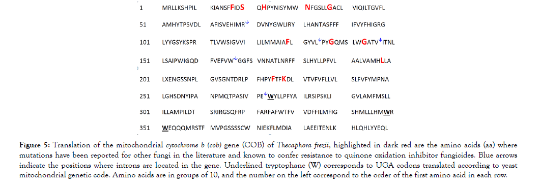 fungal-genomics-amino