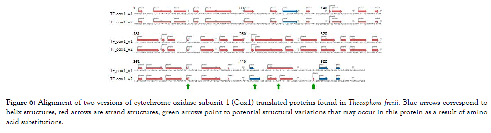 fungal-genomics-cytochrome