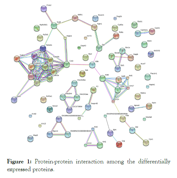 fungal-genomics-interaction