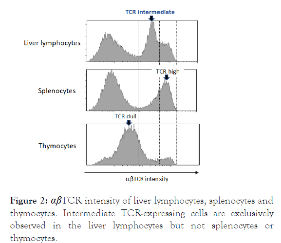 fungal-genomics-lymphocytes