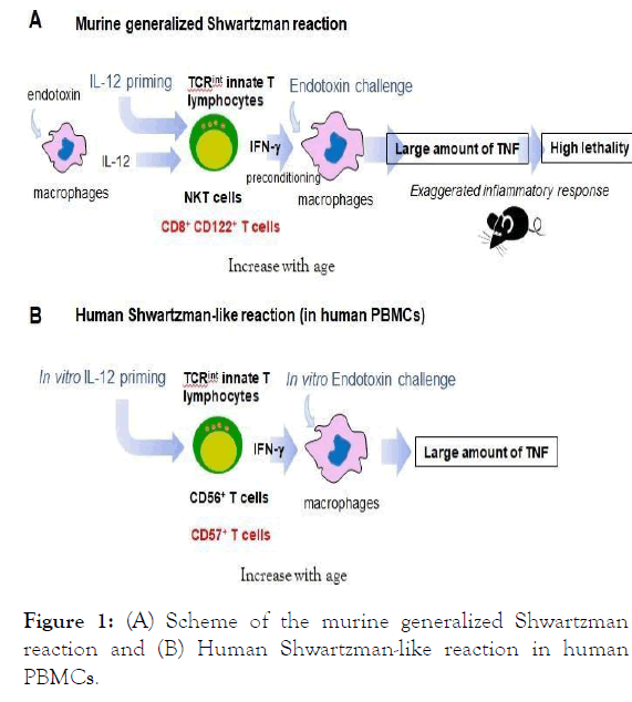 fungal-genomics-murine