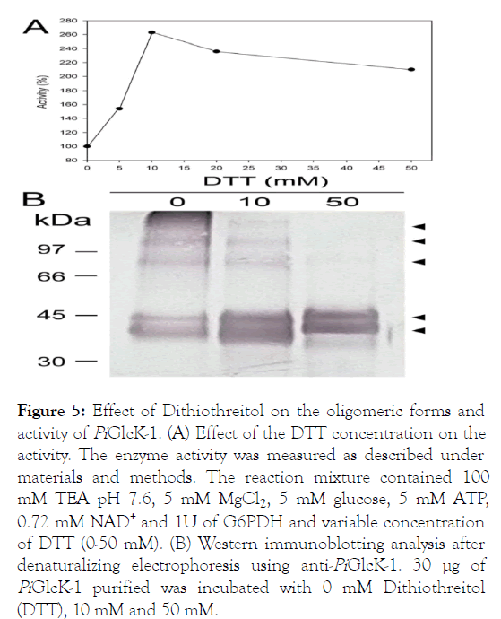 fungal-genomics-oligomeric