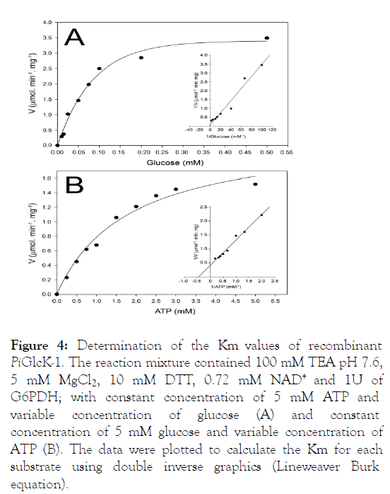 fungal-genomics-recombinant