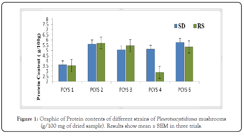 fungal-genomics-strains