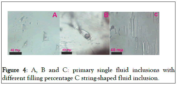 inclusions