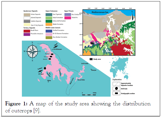 distribution