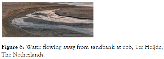 sandbank