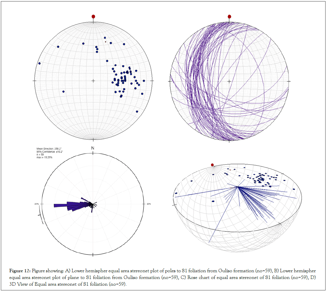 stereonet