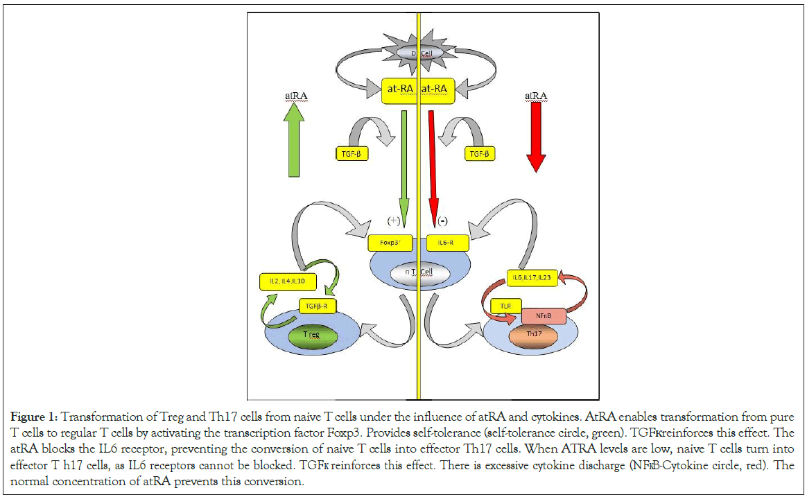 immunogenetics-Treg