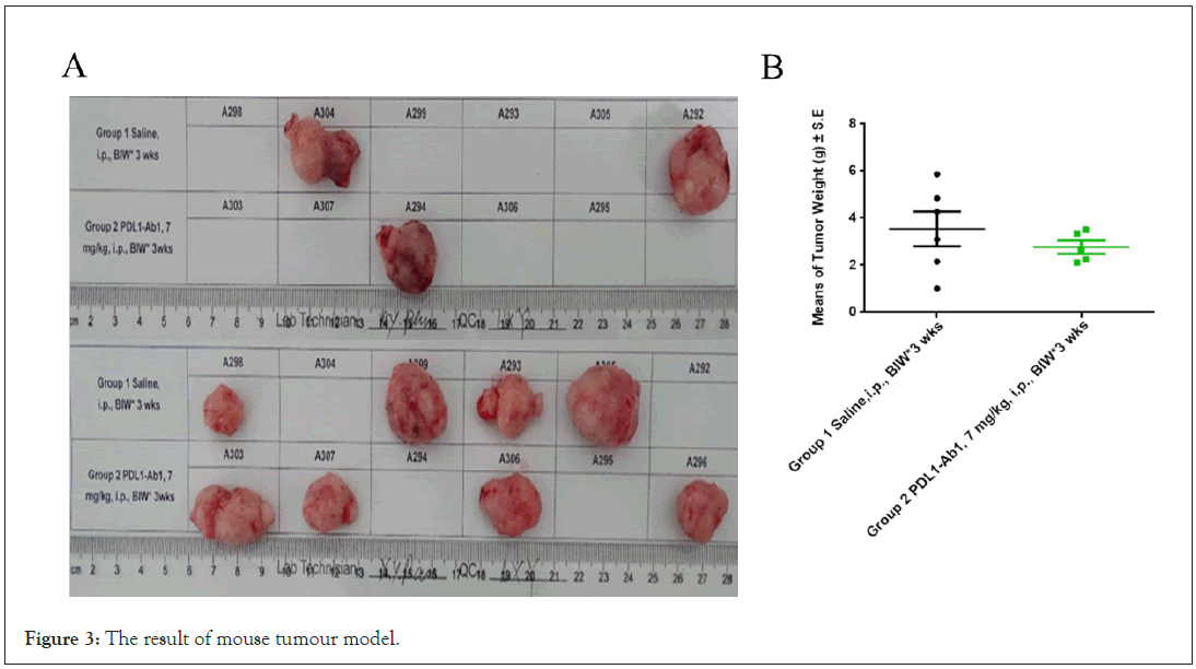 tumour